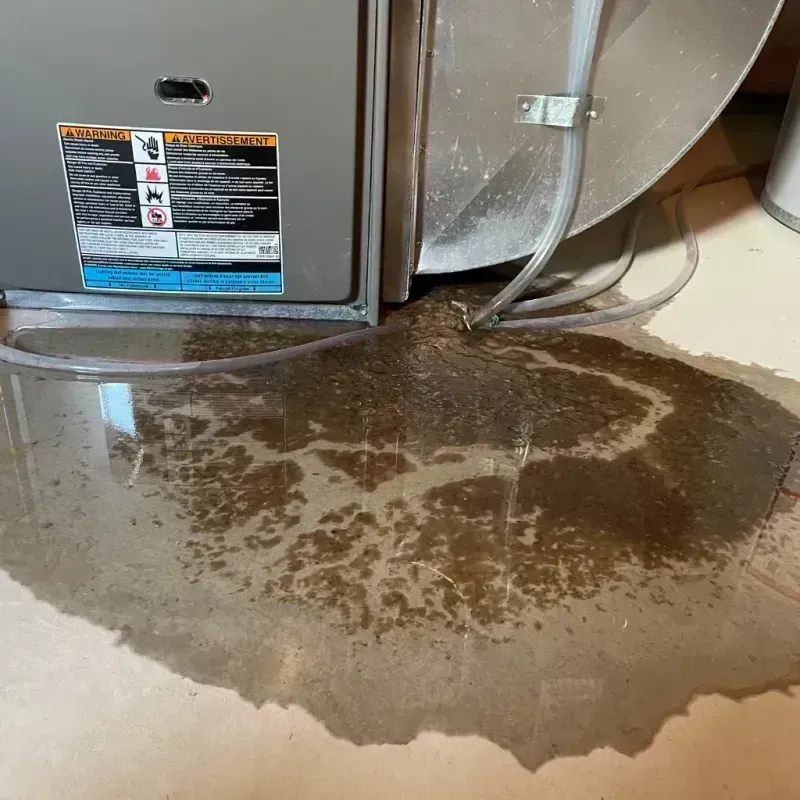 Appliance Leak Cleanup in Merchantville, NJ